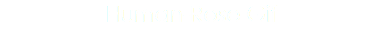 Human-Rose Gif